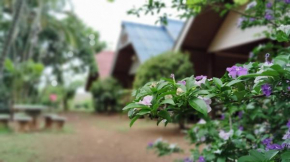 Kiniman Home